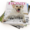 Jaarabonnement Onze Hond
