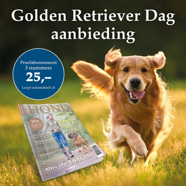 Proefabonnement Golden Retriever Dag