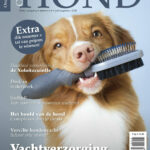 OH06_Cover