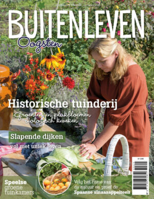 Buitenleven 2025-06